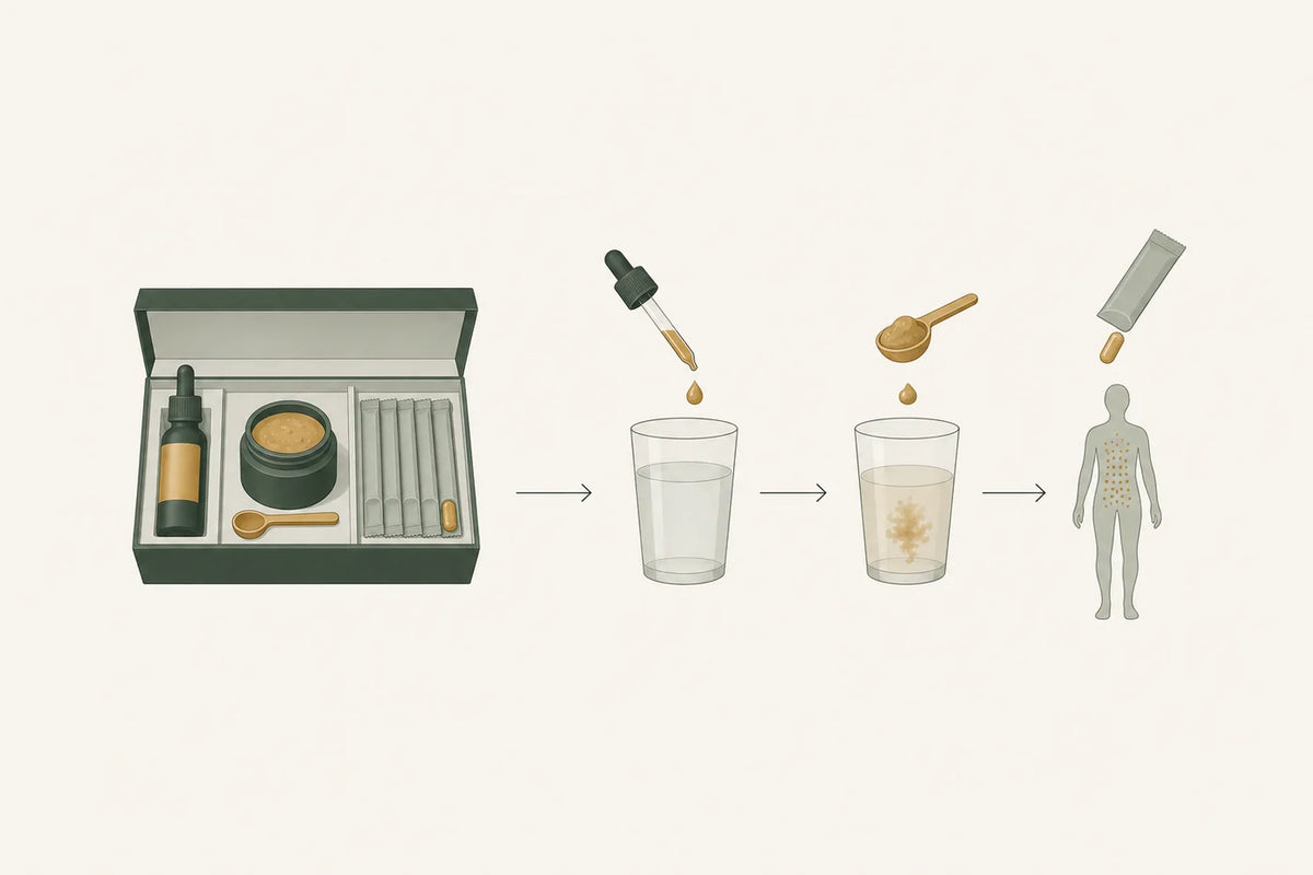 An open kit box holding a dropper bottle, a jar with a wooden spoon and a row of sachets, then a dose going into water and reaching the body.