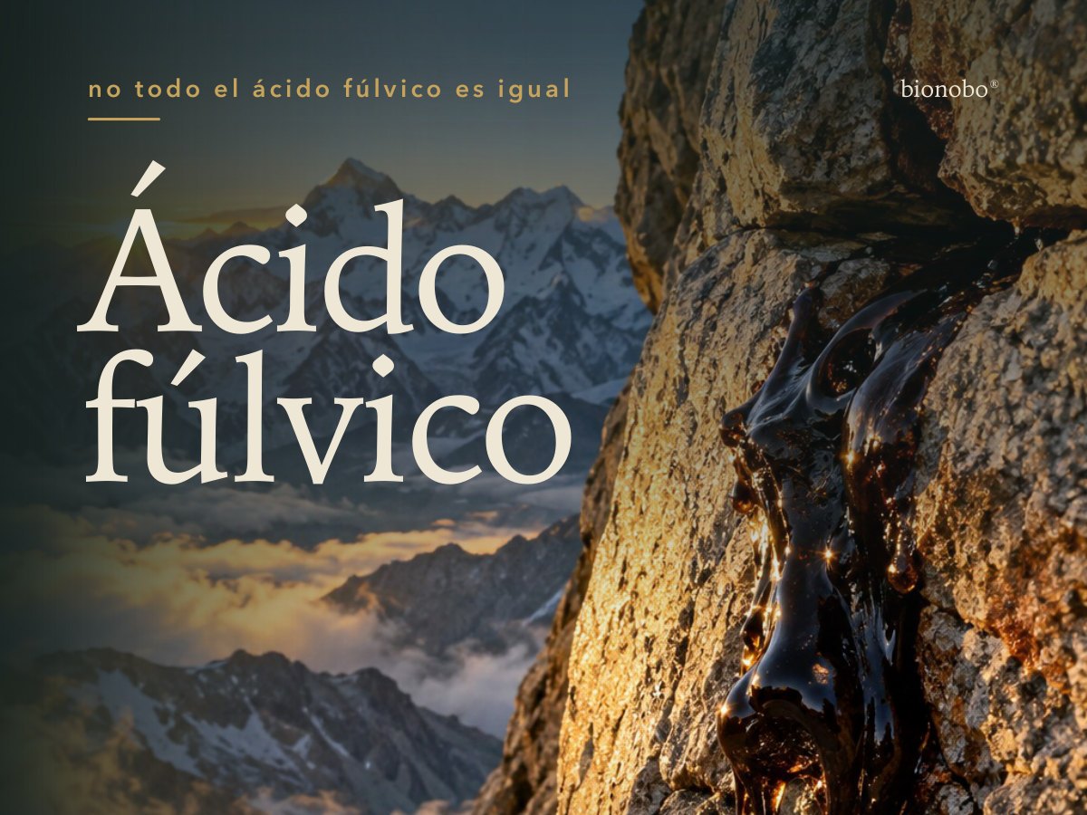 Ácido fúlvico: la historia que empieza en la tierra