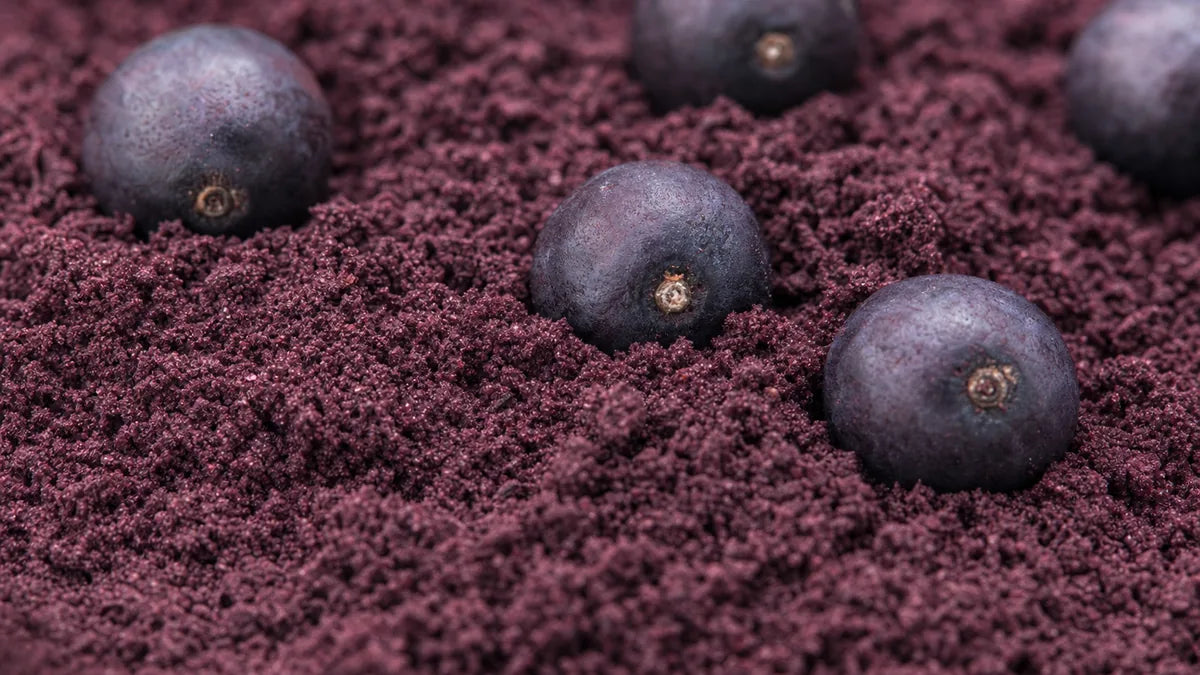 Una macro cercana de polvo de acai violeta-púrpura con bayas de acai enteras y oscuras