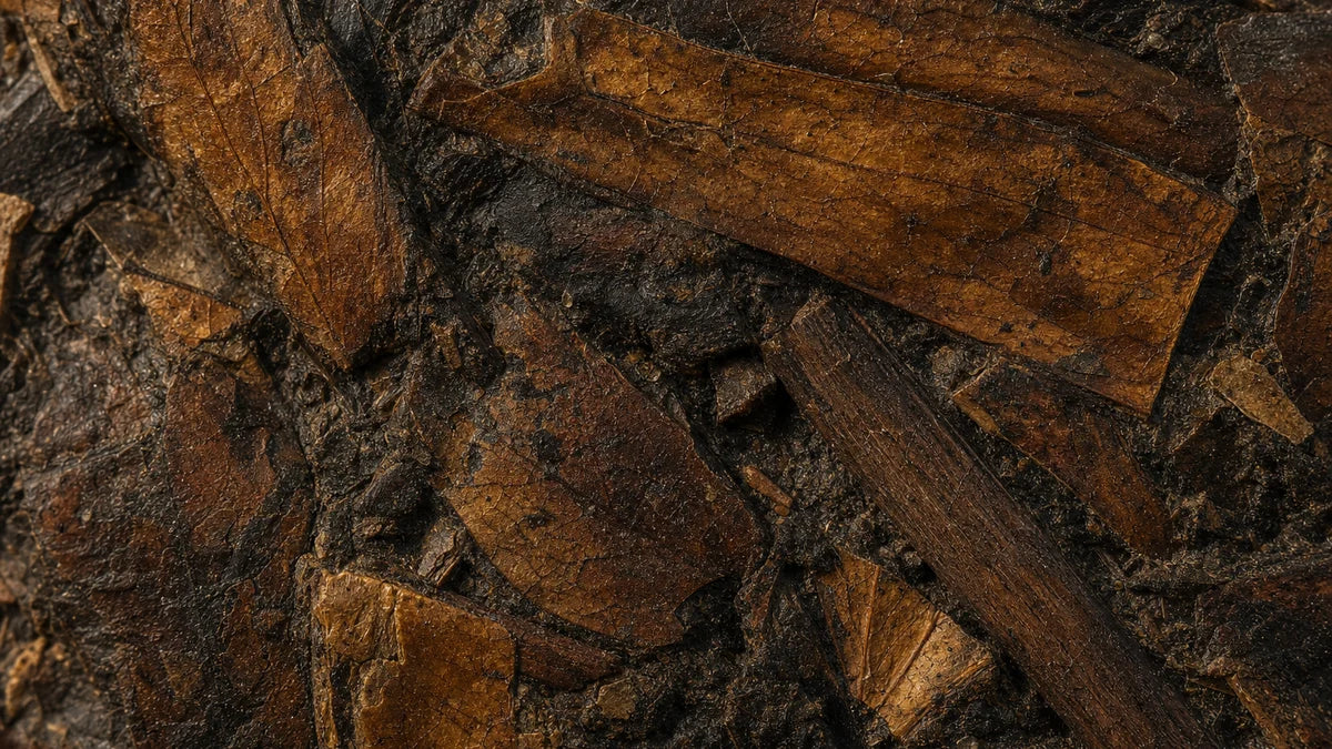 Ancient plant matter pressed flat into dark sediment, leaf veins still visible