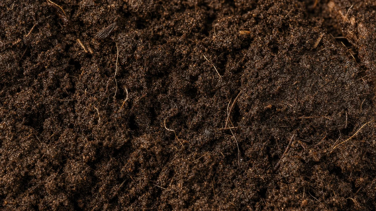 Dark living soil with fine roots and organic matter
