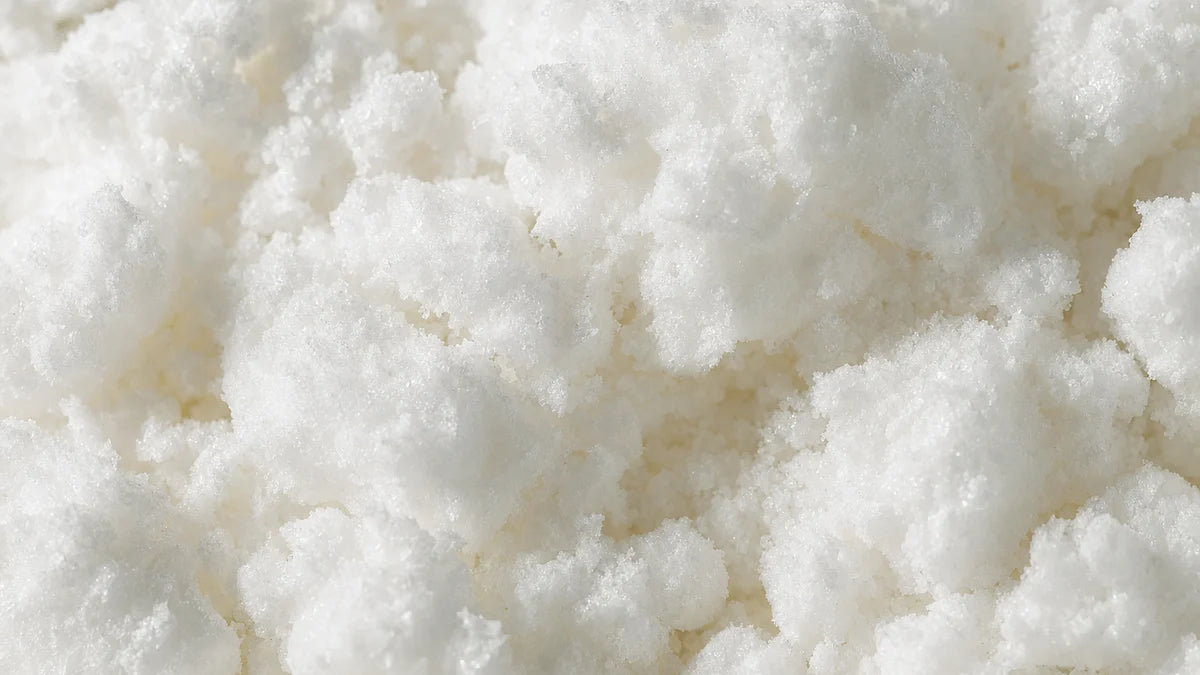 N-acetyl L-carnitine, a bright white powder caked into soft lumps