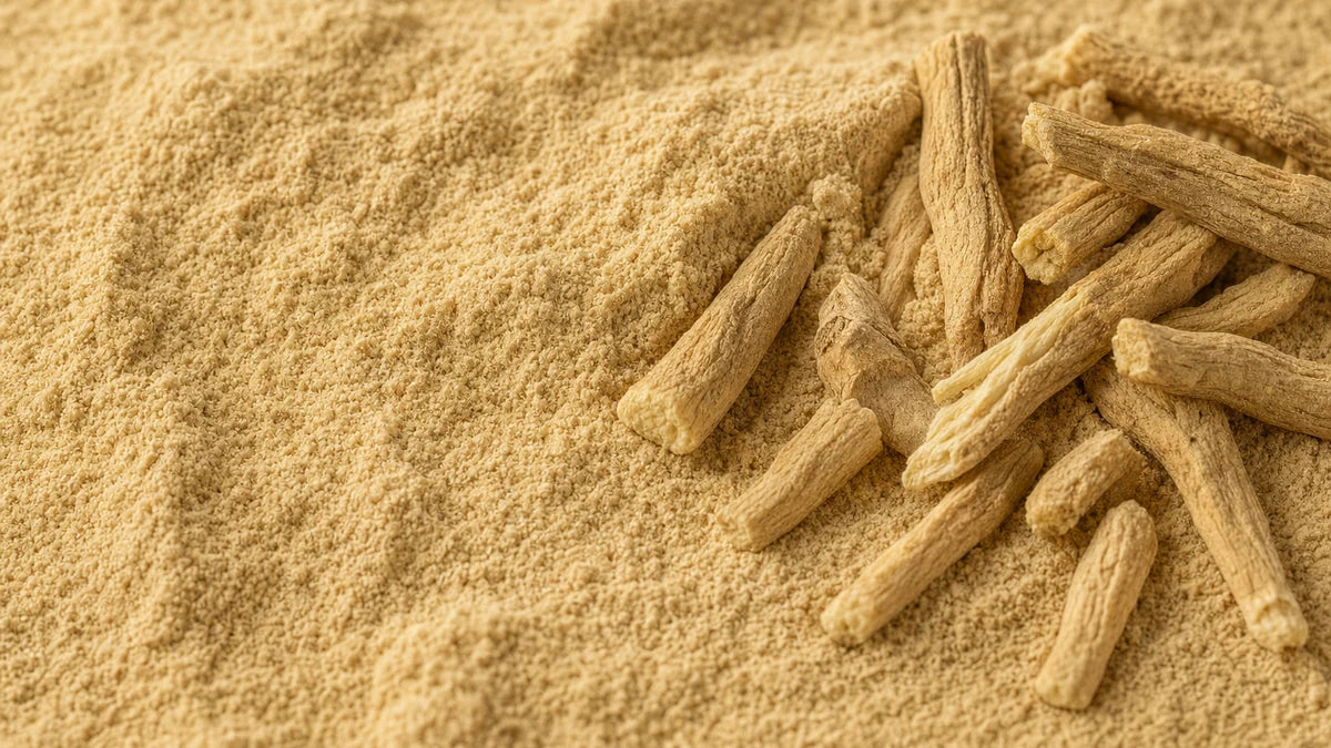 A close macro of ashwagandha