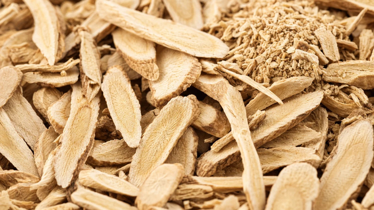 A close macro of astragalus root