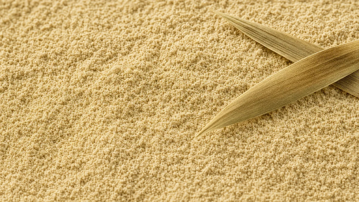 A close macro of bamboo leaf