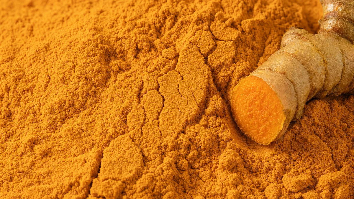A close macro of curcumin (95% curcuminoids)