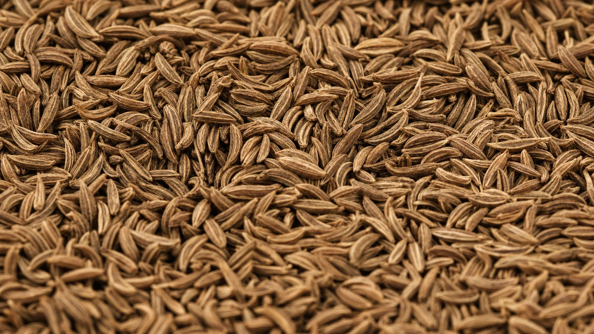 A close macro of caraway seed (carum carvi)