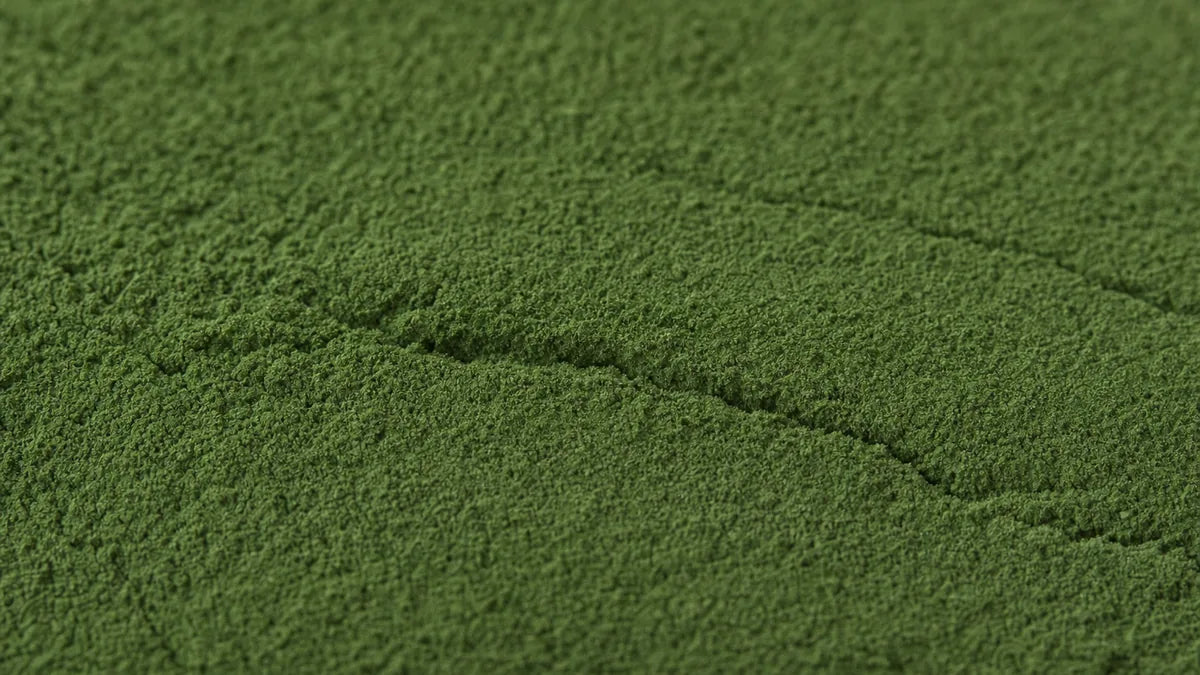 Una macro cercana de polvo de chlorella verde bosque profundo presionado sobre una superficie lisa