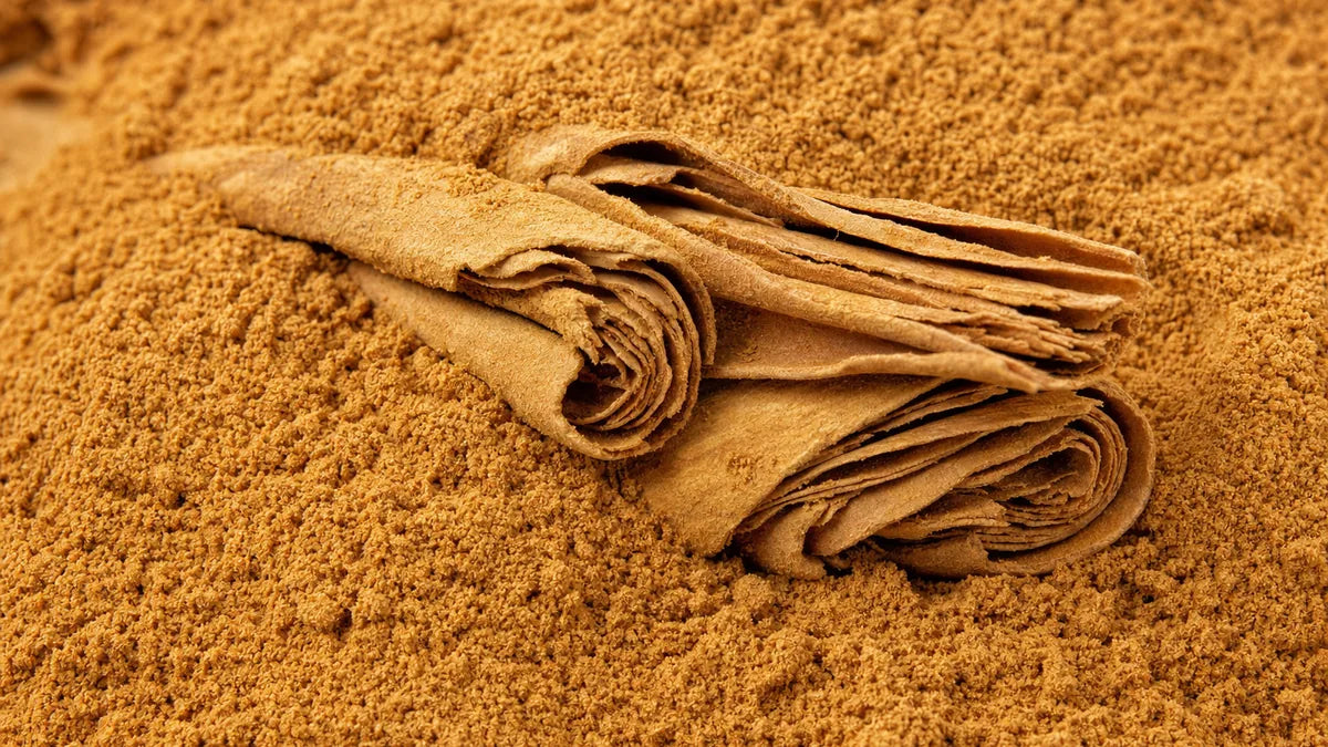 Una macro cercana de canela de Ceilán molida con sus púas de corteza en capas finas como el papel