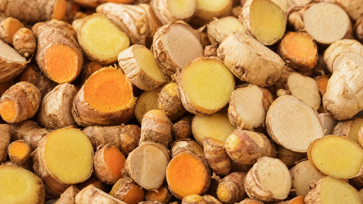 A close macro of ginger family roots