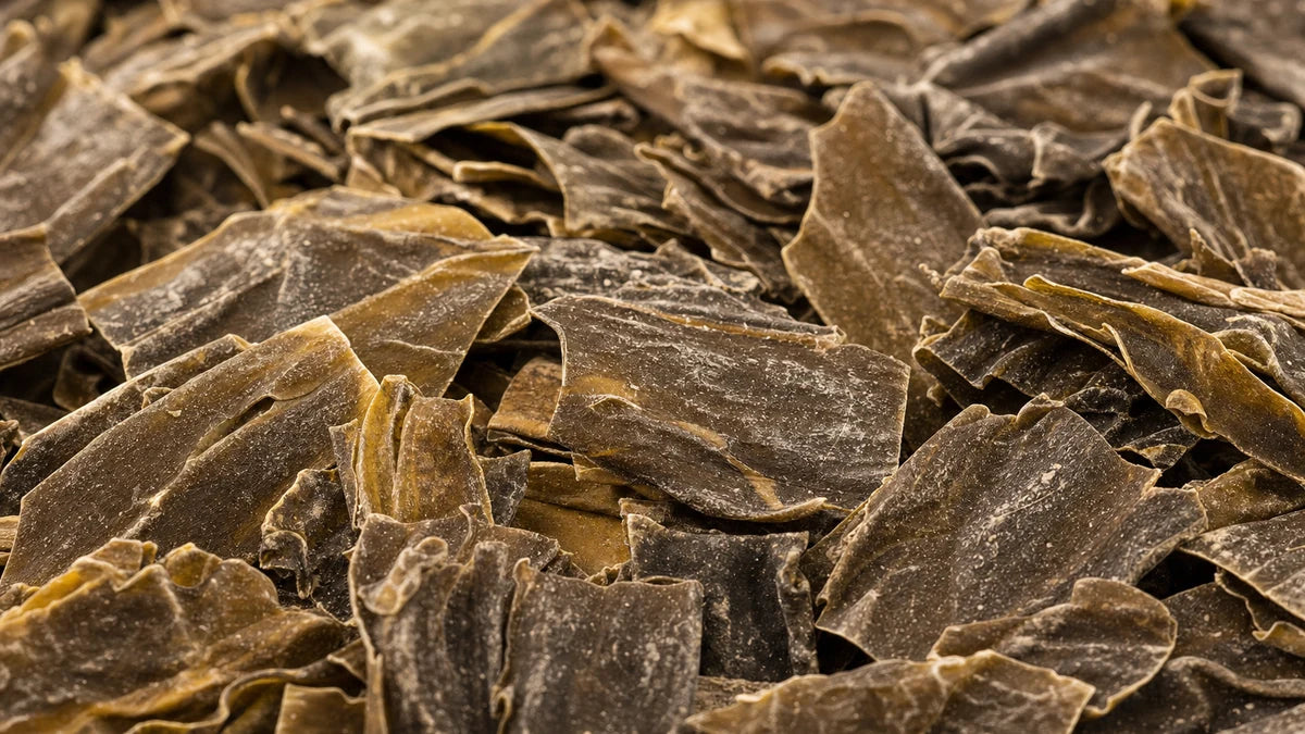A close macro of kombu seaweed