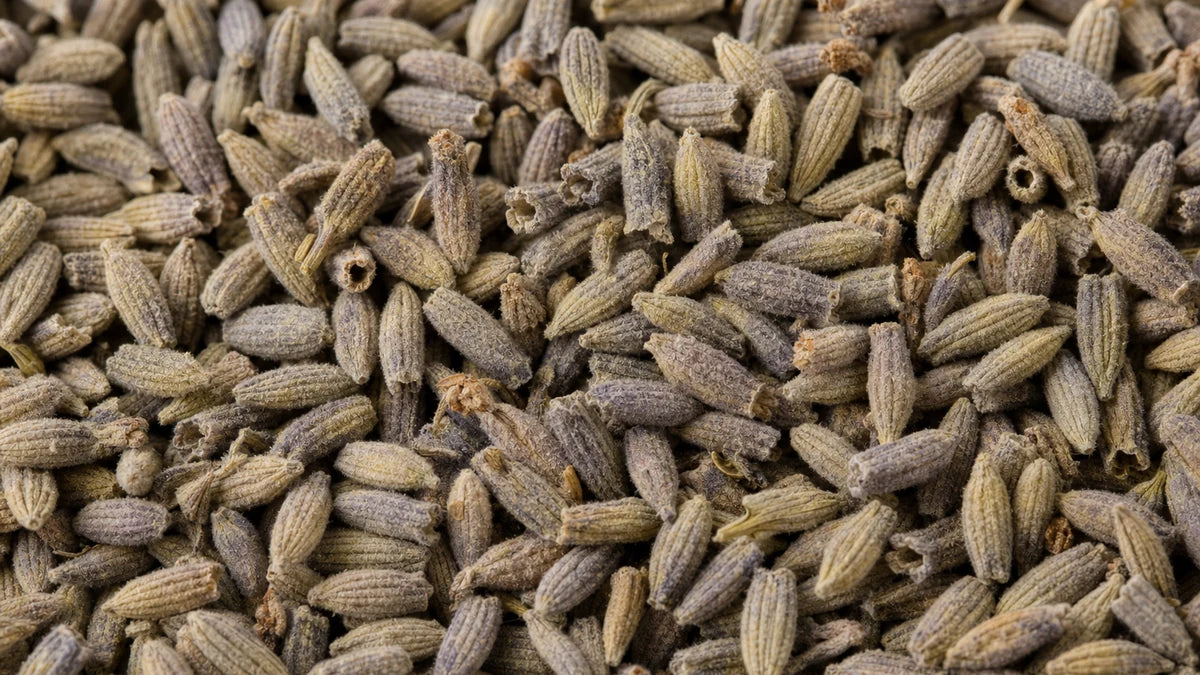 A close macro of lavender