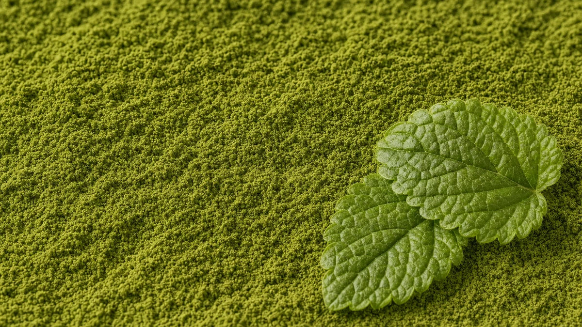 A close macro of lemon balm
