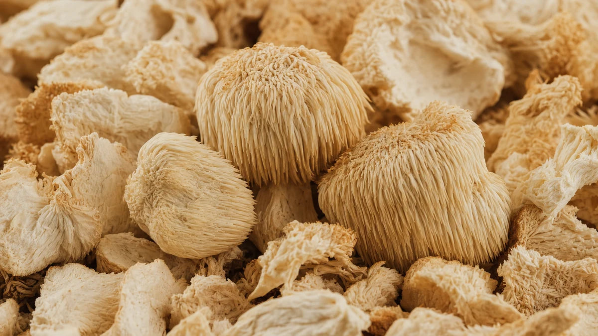 A close macro of lion's mane