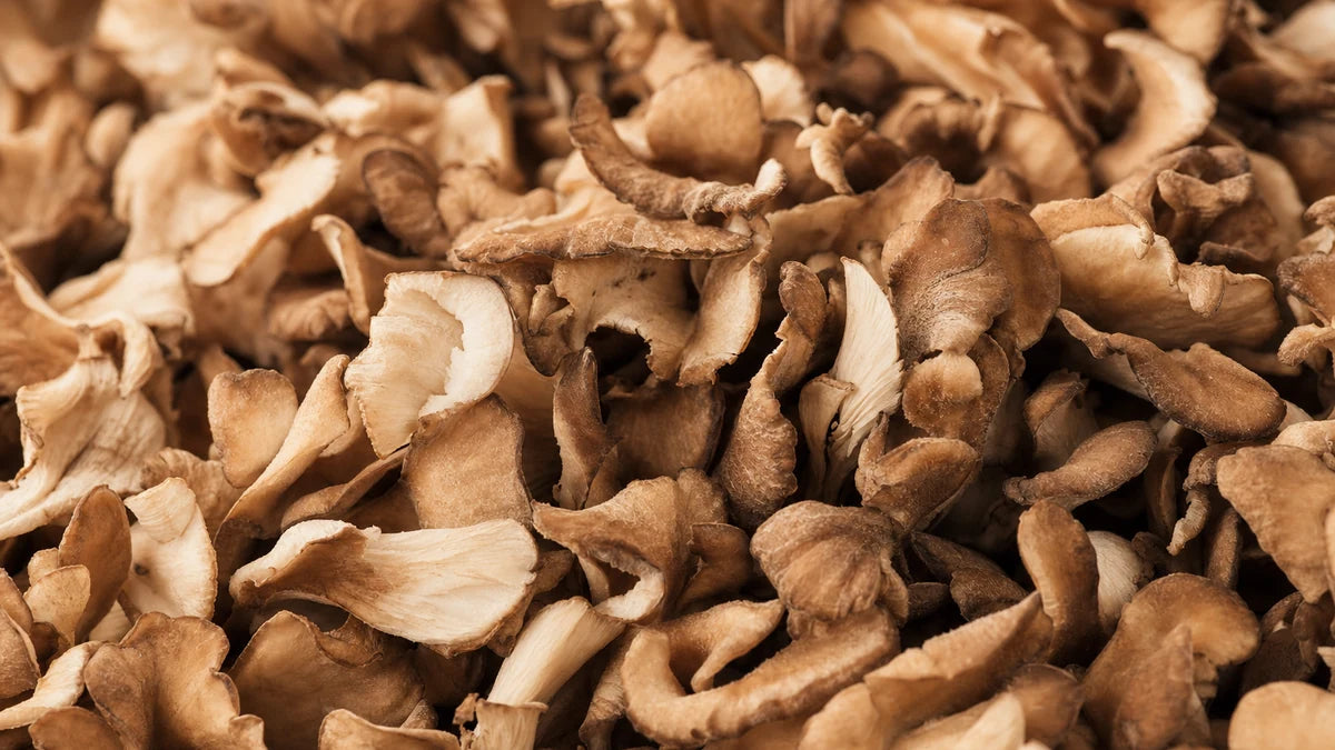 A close macro of maitake