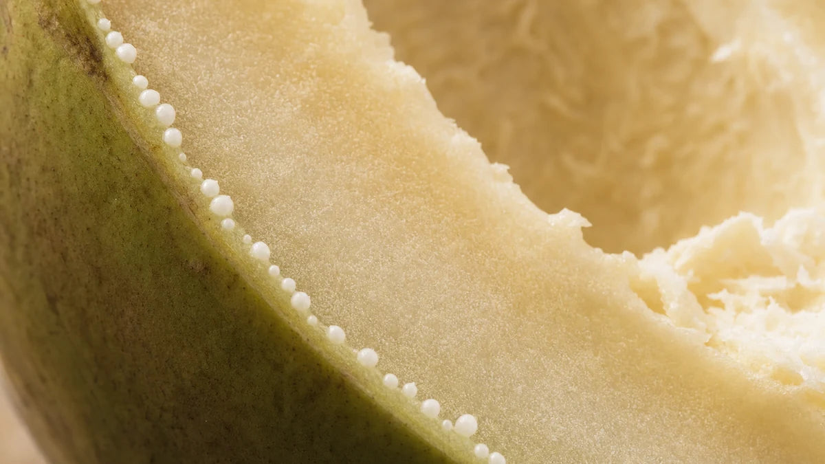 A close macro of papain