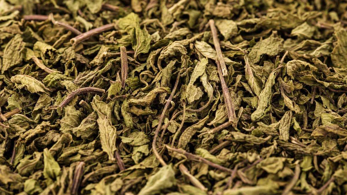 A close macro of peppermint leaf