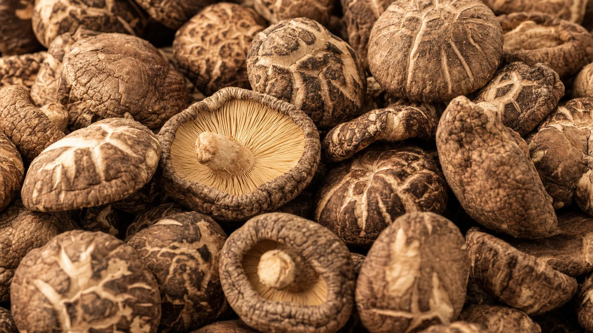 A close macro of shiitake