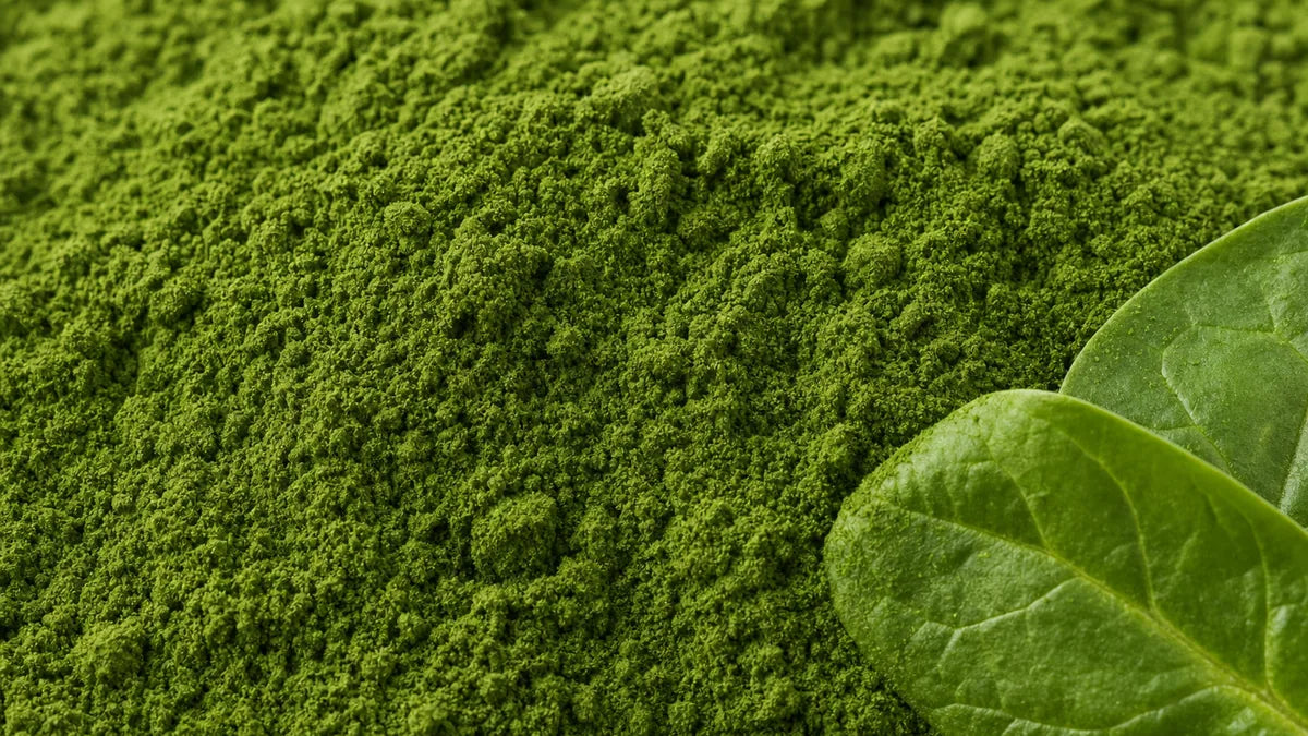 Una macro cercana de polvo de hojas de espinacas de color verde intenso con dos hojas frescas de espinacas tiernas