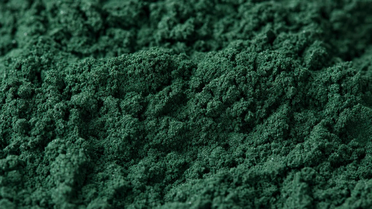 Una macro cercana de intenso polvo de espirulina azul-verde en suaves crestas