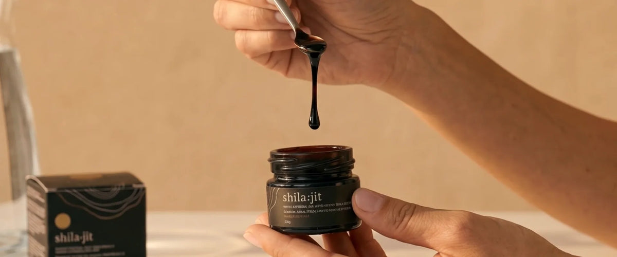 A measuring spoon lifting a rice-grain amount of golden Shilajit resin from the open jar.